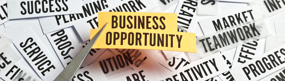 Looking For a Great New Business Opportunity?