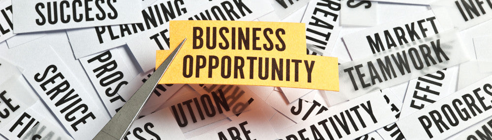 Looking For a Great New Business Opportunity?